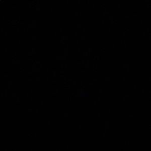 Meet your Posher, Annabelle